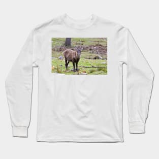 Baby Ibex Long Sleeve T-Shirt